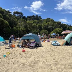 Shell Beach