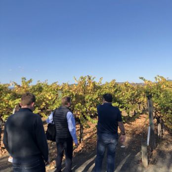 Cakebread Cellars - The tour group - Wineries Near Me - Rutherford, California