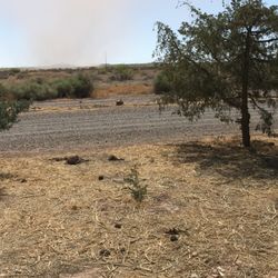 Wolf RV Park