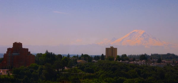 Mount Rainier by null