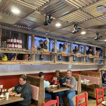 Frizzle Chicken Cafe - The chickens - Breakfast & Brunch Near Me - Pigeon Forge, Tennessee