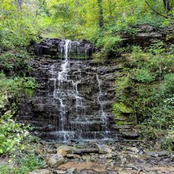 Cove Spring Park