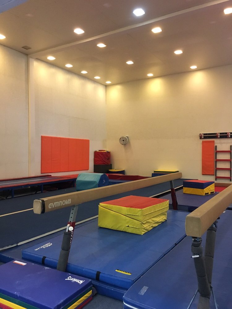Andy Valley School of Gymnastics Logo