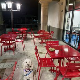 The patio to eat outside for lunch or dinner with my best friend Einstein He gets the edamame & miso soup a lot :) The patio to eat outside for lunch or dinner with my best friend Einstein He gets the edamame & miso soup a lot :)
