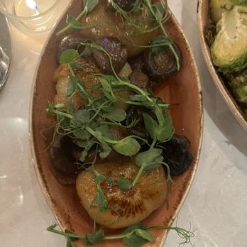 Via Sophia - MUSHROOM SCAPECE - Italian Near Me - Washington, DC, District of Columbia Via Sophia - MUSHROOM SCAPECE - Italian Near Me - Washington, DC, District of Columbia