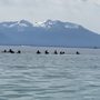 Photo of Marin Diving Center