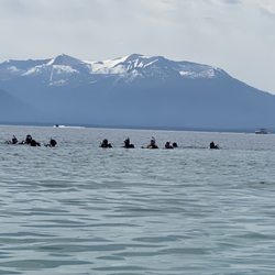 Marin Diving Center - Buddied up and ready to descend
