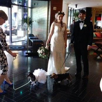 Hotel Derek - Gorgeous bride & groom (w puppy children) after the wedding ceremony - Hotels Near Me - Houston, Texas Hotel Derek - Gorgeous bride & groom (w puppy children) after the wedding ceremony - Hotels Near Me - Houston, Texas