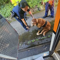 Kaneohe Police Station - Yelp gotta GO!