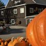 Photo of Springridge Farm
