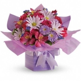 Forest Hill Florist - Florists Near Me - Toronto, Ontario Forest Hill Florist - Florists Near Me - Toronto, Ontario