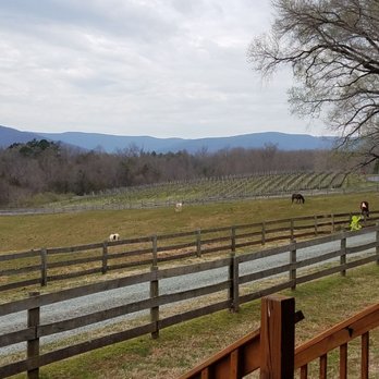 Knight's Gambit Vineyards - Wineries Near Me - Charlottesville, Virginia