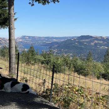 South Hill Winery - Look at this view - Wineries Near Me - Underwood, Washington South Hill Winery - Look at this view - Wineries Near Me - Underwood, Washington