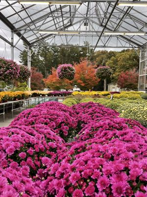Briggs Nursery by null