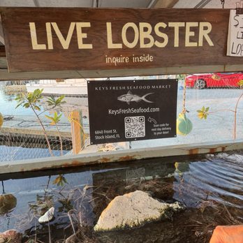The Docks Restaurant + Raw Bar - Lobster well - Seafood Near Me - Key West, Florida The Docks Restaurant + Raw Bar - Lobster well - Seafood Near Me - Key West, Florida