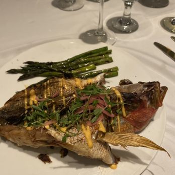 Nineteen 61 - Red snapper - Latin American Near Me - Lakeland, Florida Nineteen 61 - Red snapper - Latin American Near Me - Lakeland, Florida