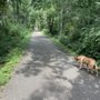 Photo of Vicksburg Trailway
