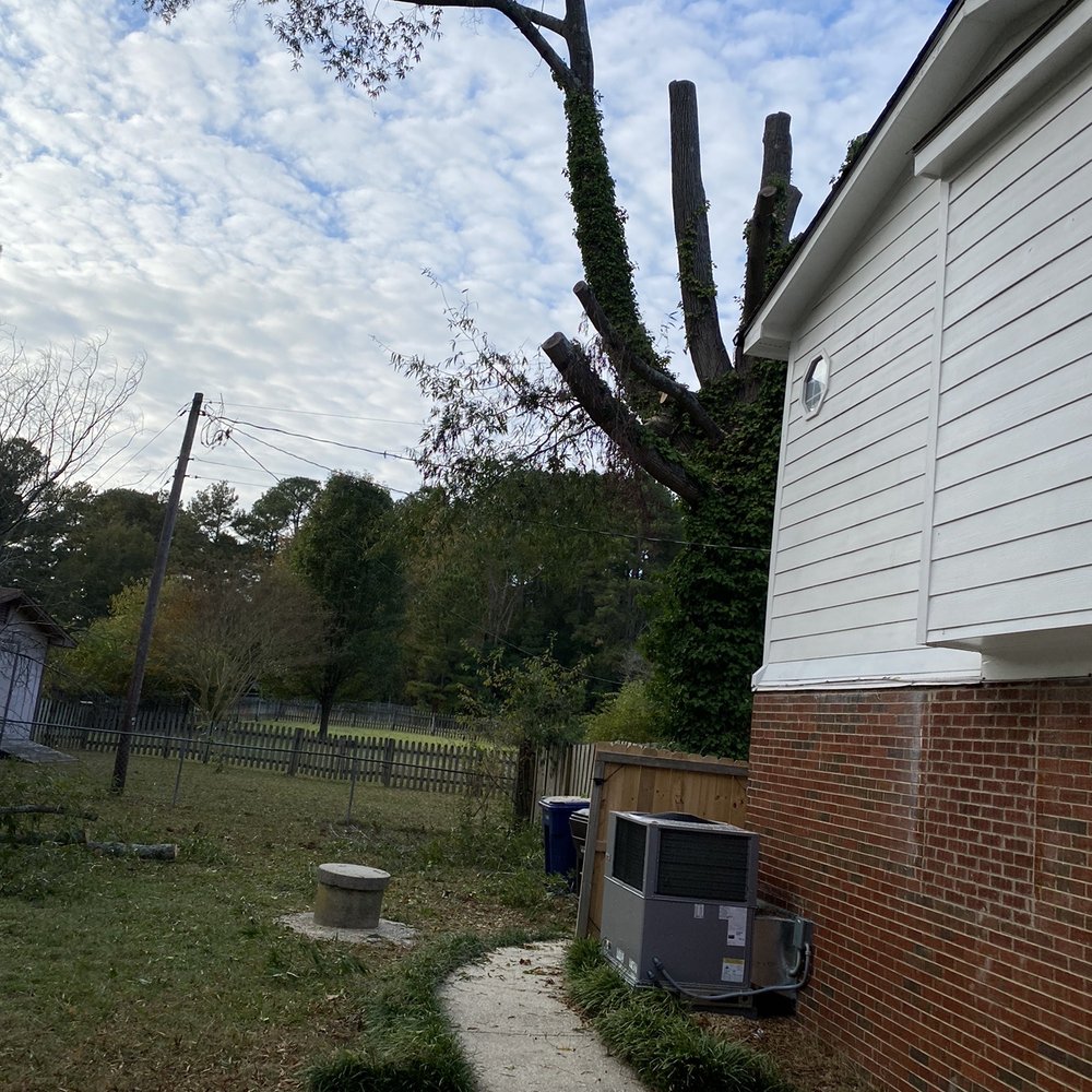 Castro Tree Service - Tree Services Near Me - Apex, North Carolina Castro Tree Service - Tree Services Near Me - Apex, North Carolina