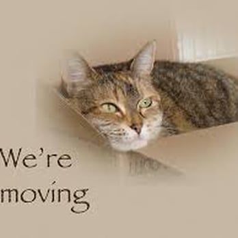 Pelican Self Storage - We've got the purrrrfect spot for your valuable items.Just give me a call.865-603-2270 - Self Storage Near Me - Kingston, Tennessee Pelican Self Storage - We've got the purrrrfect spot for your valuable items.Just give me a call.865-603-2270 - Self Storage Near Me - Kingston, Tennessee