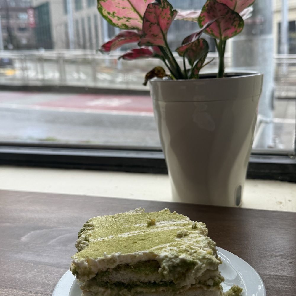 Matcha Tiramisu Matcha Tiramisu