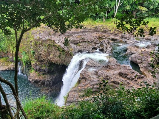 O.K. Farms Hawai'i by null