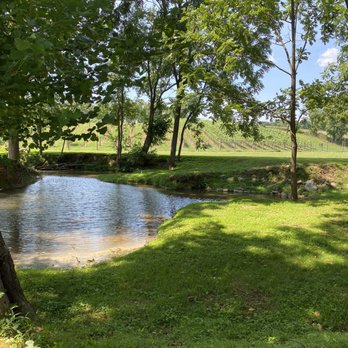 Three Creeks Winery - Creeks that have tons of outdoor seating and shade; in the summer heat was perfect because it kept the weather cooler. - Wineries Near Me - Hamilton, Virginia Three Creeks Winery - Creeks that have tons of outdoor seating and shade; in the summer heat was perfect because it kept the weather cooler. - Wineries Near Me - Hamilton, Virginia