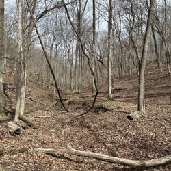 Rockwoods Reservation - Green rock trail