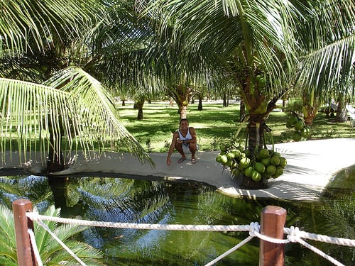 Crocobeach by null