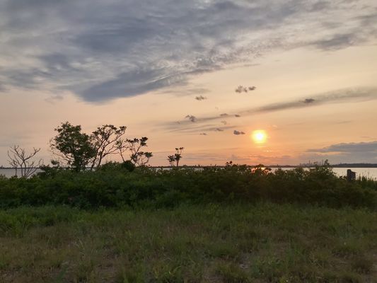 Jamaica Bay Wildlife Refuge by null