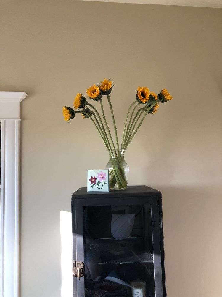 AVAS FLOWERS Updated August 2024 Laurel, Montana Florists Phone