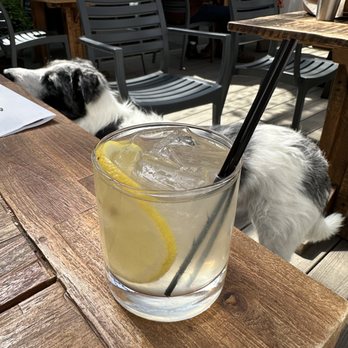 Skål Beer Hall - Forage and frolic ($15) - Beer Bar Near Me - Seattle, Washington