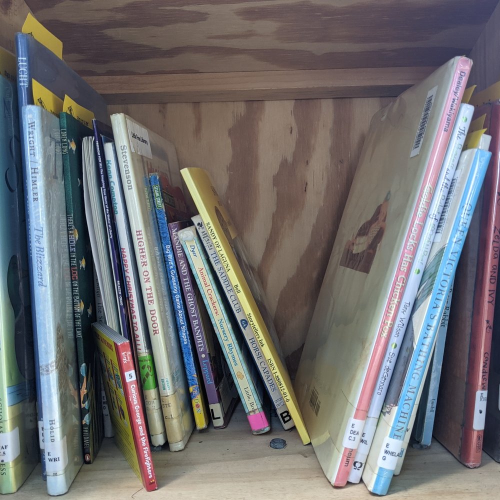 Little Free Library - Little Free Library, Southside Park, Newton - Community Book Box Near Me - Newton, North Carolina Little Free Library - Little Free Library, Southside Park, Newton - Community Book Box Near Me - Newton, North Carolina