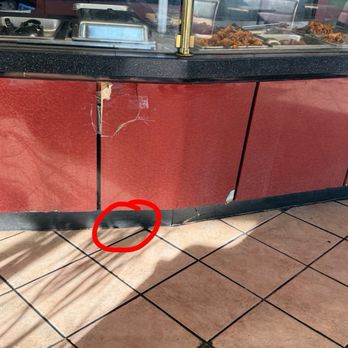 Beijing Bowl - Cockroach on the floor - Chinese Near Me - San Leandro, California Beijing Bowl - Cockroach on the floor - Chinese Near Me - San Leandro, California