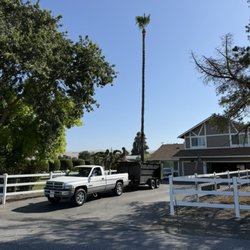 OG Landscaping & Tree Trimming