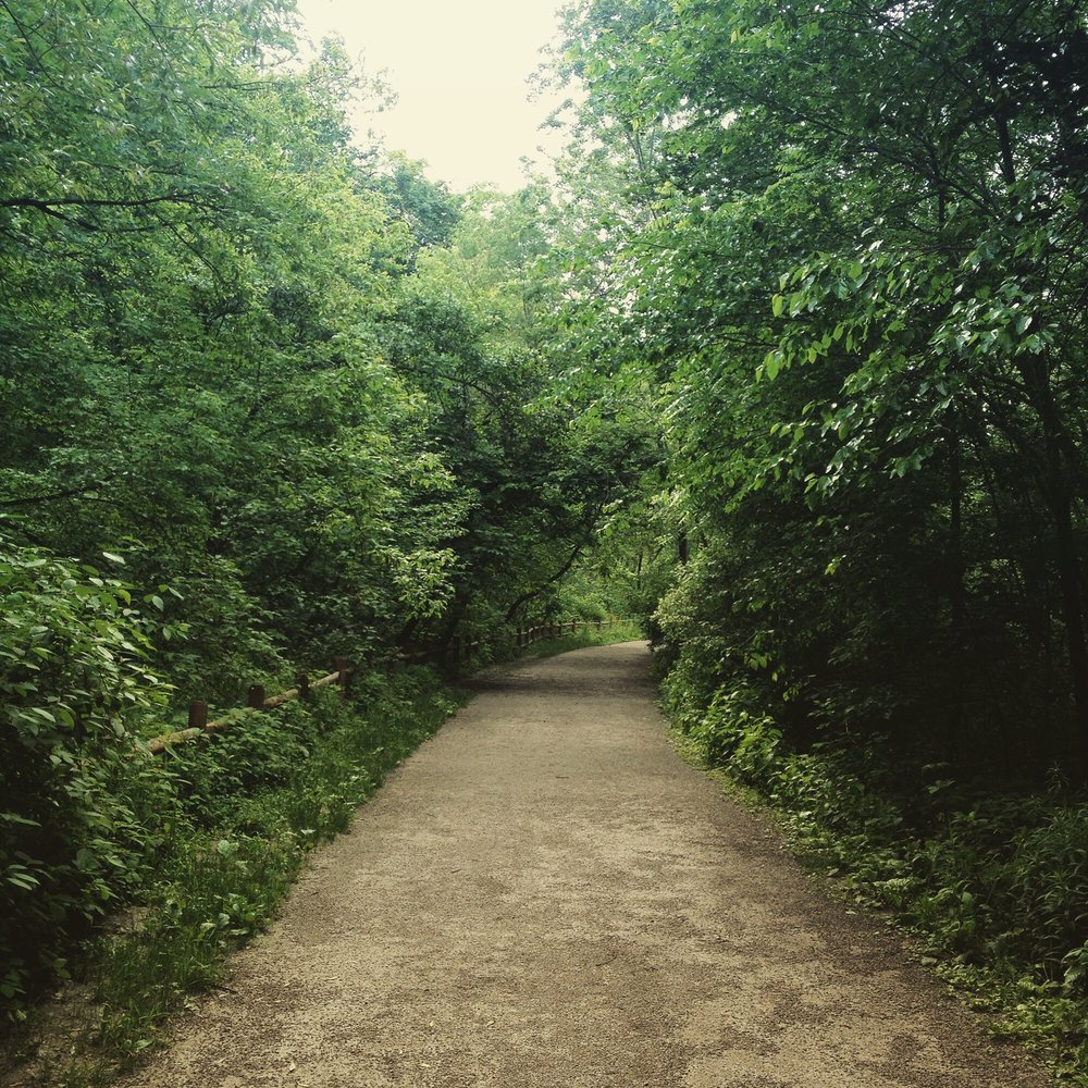 Nordheimer Ravine - Hiking Near Me - Toronto, Ontario Nordheimer Ravine - Hiking Near Me - Toronto, Ontario