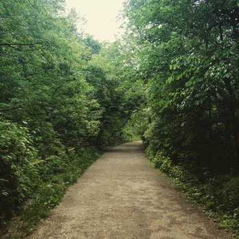 Nordheimer Ravine - Hiking Near Me - Toronto, Ontario Nordheimer Ravine - Hiking Near Me - Toronto, Ontario