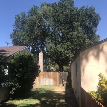 Joel's Tree Services - Tree Services Near Me