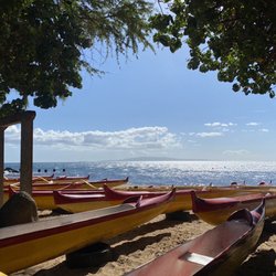 Turtle Town