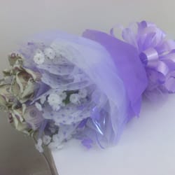 Money flower
