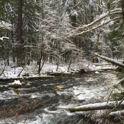 Willamette National Forest