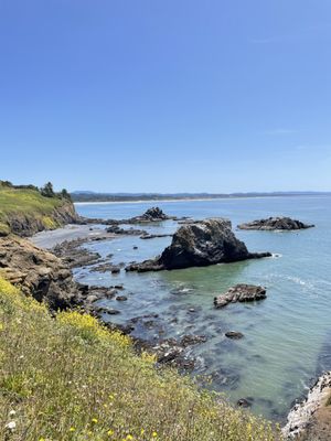 Yaquina Head Lighthouse by null
