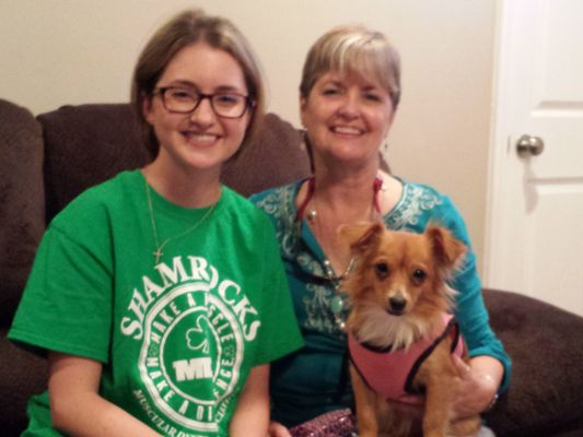 southern chihuahua rescue and adoption