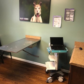 Solon Animal Hospital - Exam Room (***that's MY cats hair on the table!!!) It's clean & spacious. - Veterinarians Near Me - Solon, Ohio Solon Animal Hospital - Exam Room (***that's MY cats hair on the table!!!) It's clean & spacious. - Veterinarians Near Me - Solon, Ohio