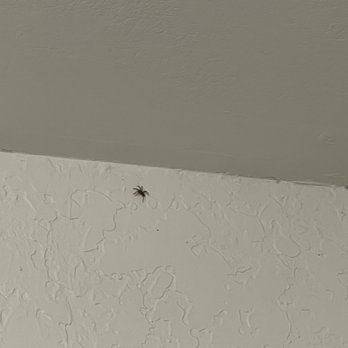 Aptive Pest Control - Pest Control Near Me - Fife, Washington Aptive Pest Control - Pest Control Near Me - Fife, Washington