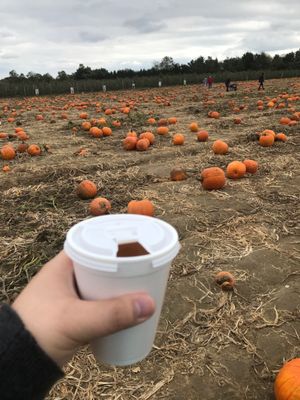 Hank's Pumpkintown by null