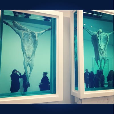 Astrup Fearnley Museum Of Modern Art by null