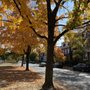 Photo of Monument Avenue