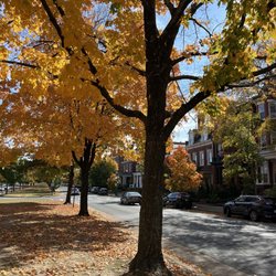 Monument Avenue