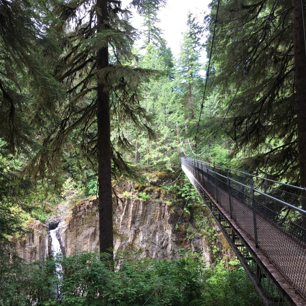 Drift Creek Fall And Bridge - Hiking Near Me - Otis, Oregon Drift Creek Fall And Bridge - Hiking Near Me - Otis, Oregon