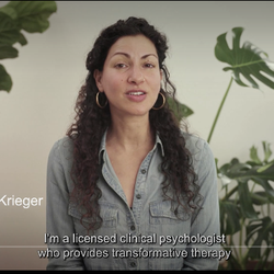 Ayelet Krieger Counseling Services - Www.drkriegercounseling.com